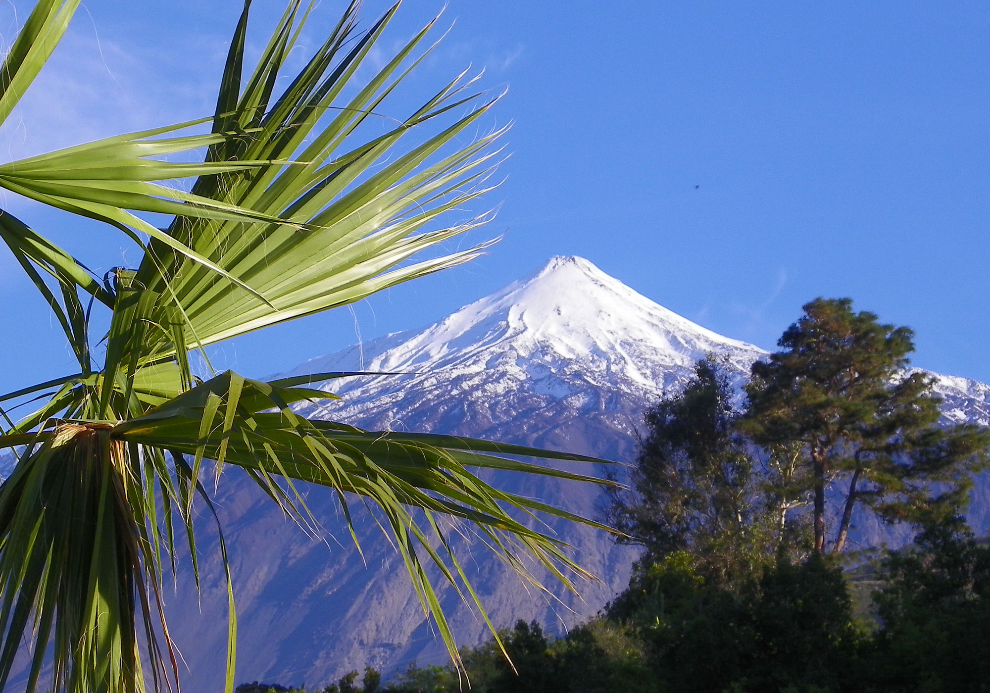 Ein Jahr Wetter auf Teneriffa