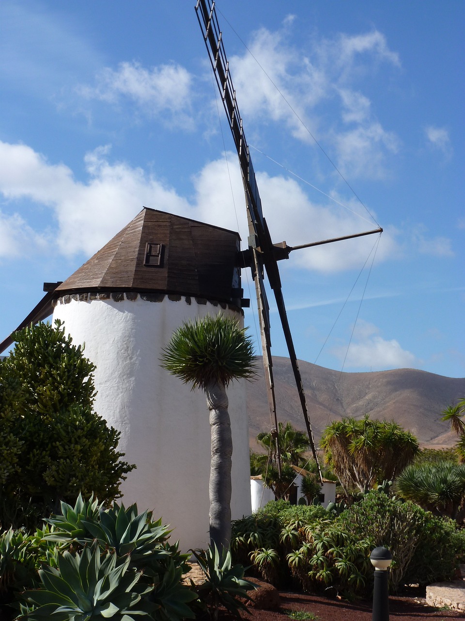 Fuerteventura entdecken