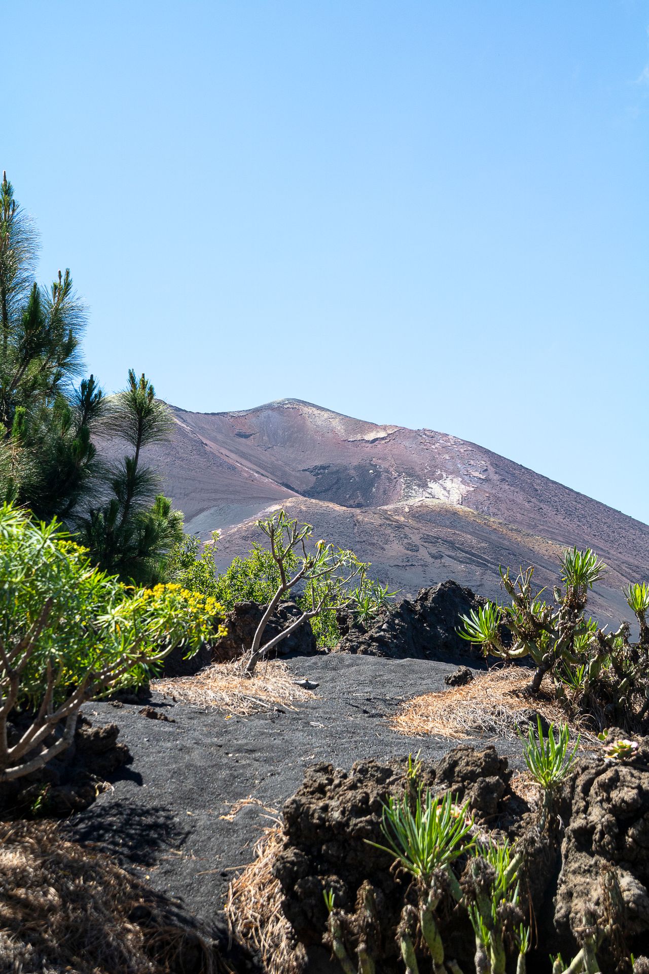 La Palma im Überblick
