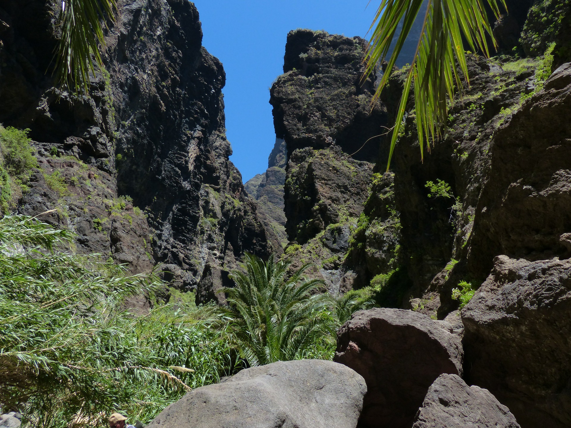 Ein Paradies im Westen Teneriffas!
