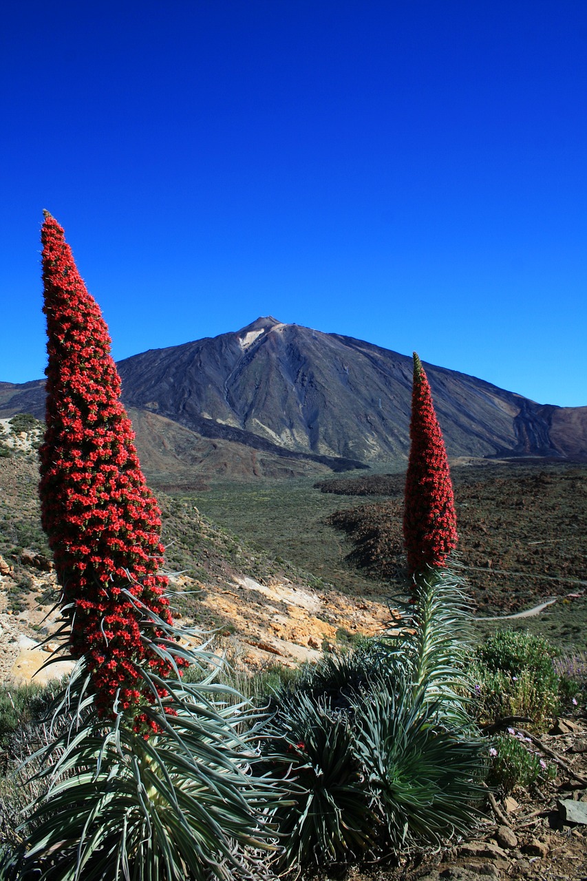 Teneriffa im Überblick
