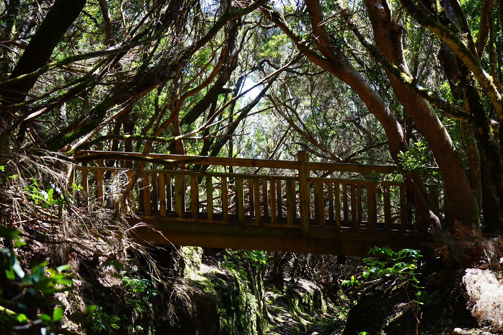 Wandern im grünen Herz der Insel